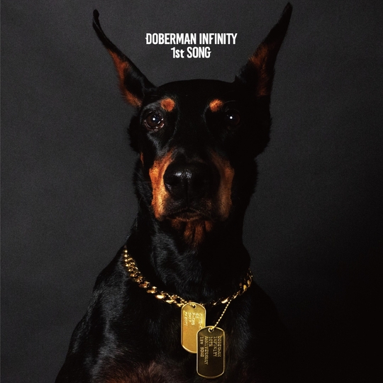 We are D.I ｜ ニュース詳細 -DOBERMAN INFINITY OFFICIAL FAN CLUB-